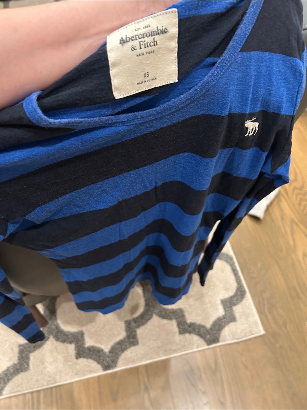 Abercrombie & Fitch Blue and Black Striped Long-Sleeve Shirt